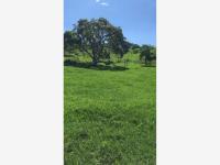 Finca-Rancho en venta en Comala, Comala, Colima