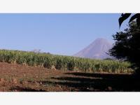Terreno en venta en Cuauhtemoc, Cuauhtémoc, Colima Terreno en venta en Cuauhtemoc, Cuauhtémoc, Colima