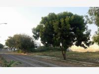 Terreno en venta en El Chivato (Providencia), Villa de Álvarez, Colima