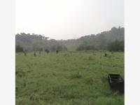 Terreno en venta en Corralillos, Coatzintla, Veracruz de Ignacio de la Llave