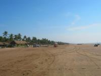 Terreno en venta en Armeria Centro, Armería, Colima Terreno en venta en Armeria Centro, Armería, Colima