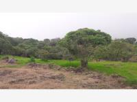Terreno en venta en Comala, Comala, Colima