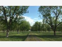 Finca-Rancho en venta en Ramos Arizpe Centro, Ramos Arizpe, Coahuila de Zaragoza