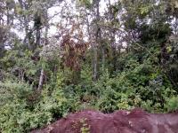 Terreno en venta en Bosque Monarca, Morelia, Michoacán de Ocampo