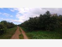 Terreno en venta en Magaña, Guadalajara, Jalisco