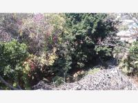 Terreno en venta en Lomas de Cortes, Cuernavaca, Morelos