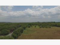 Terreno en venta en Zambrano, Montemorelos, Nuevo León
