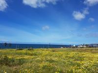 Terreno en renta en El Sauzal, Ensenada, Baja California