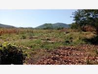 Finca-Rancho en venta en Los Tepames, Colima, Colima