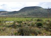 Terreno en venta en Palma Gorda, Saltillo, Coahuila de Zaragoza
