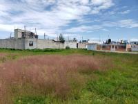 Terreno en venta en San Nicolas Tolentino, Toluca, México