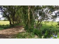 Finca-Rancho en venta en Teapa Centro, Teapa, Tabasco
