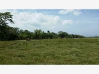 Finca-Rancho en venta en Jalpa de Mendez Centro, Jalpa de Méndez, Tabasco