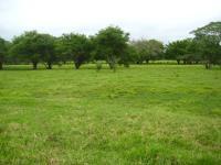 Finca-Rancho en venta en Macuspana Centro, Macuspana, Tabasco