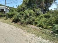 Terreno en venta en Ticumán, Tlaltizapán de Zapata, Morelos
