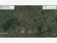 Finca-Rancho en venta en Santo Domingo 1ra. Sección (El Llano), Jalapa, Tabasco Finca-Rancho en venta en Santo Domingo 1ra. Sección (El Llano), Jalapa, Tabasco