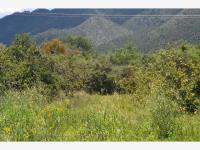 Terreno en venta en San Juan de los Dolores, Arteaga, Coahuila de Zaragoza