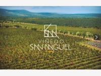 Terreno en venta en San Miguel de Allende Centro, San Miguel de Allende, Guanajuato