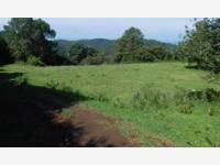 Terreno en venta en Suchitlan, Comala, Colima