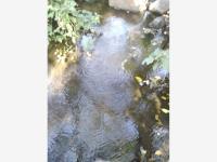 Terreno en venta en Montitlán, Cuauhtémoc, Colima