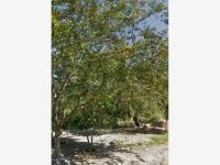 Terreno en venta en La Esperanza, Coquimatlán, Colima