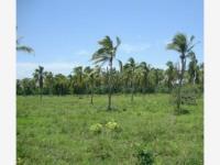 Finca-Rancho en venta en Coquimatlan, Coquimatlán, Colima