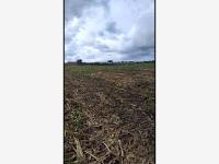 Terreno en venta en Alcaraces, Cuauhtémoc, Colima
