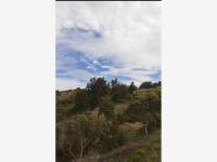 Terreno en venta en Comala, Comala, Colima