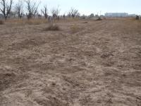 Terreno en venta en La Concha, Torreón, Coahuila de Zaragoza