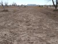 Terreno en venta en La Concha, Torreón, Coahuila de Zaragoza