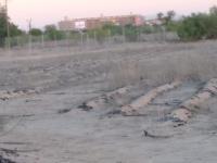 Terreno en venta en La Concha, Torreón, Coahuila de Zaragoza