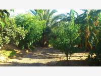 Terreno en venta en Tecoman Centro, Tecomán, Colima