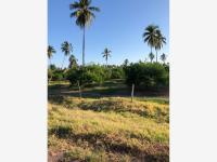 Terreno en venta en Cerro de Ortega, Tecomán, Colima