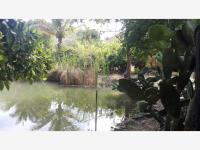Terreno en venta en El Mixcuate, Villa de Álvarez, Colima