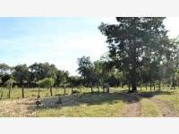 Terreno en venta en Montitlán, Cuauhtémoc, Colima