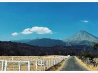 Terreno en venta en La Yerbabuena, Comala, Colima