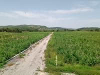 Finca-Rancho en venta en Moyotepec, Ayala, Morelos
