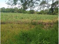 Terreno en venta en El Chivato (Providencia), Villa de Álvarez, Colima