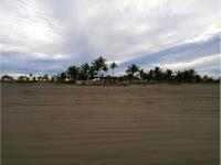 Terreno en venta en Playa Novillero, Tecuala, Nayarit