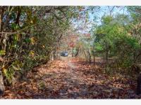 Finca-Rancho en venta en El Trapiche, Cuauhtémoc, Colima