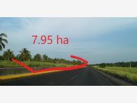 Terreno en venta en Licenciado Luis Echeverría Álvarez, Manzanillo, Colima