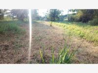 Terreno en venta en Faja de Oro, Coatzintla, Veracruz de Ignacio de la Llave