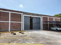 Bodega en renta en Bruno Pagliai, Veracruz, Veracruz de Ignacio de la Llave