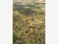 Terreno en venta en Centro, Yautepec, Morelos