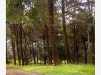Terreno en venta en Suchitlan, Comala, Colima