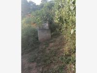 Terreno en venta en Benito Juarez, Manzanillo, Colima