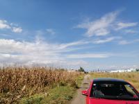 Terreno en venta en San Miguel Totocuitlapilco, Metepec, México