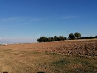 Terreno en venta en Chipilo de Francisco Javier Mina, San Gregorio Atzompa, Puebla