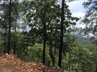 Terreno en venta en Mascota, Mascota, Jalisco