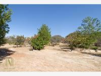 Terreno en venta en Canoas, Lagos de Moreno, Jalisco Terreno en venta en Canoas, Lagos de Moreno, Jalisco